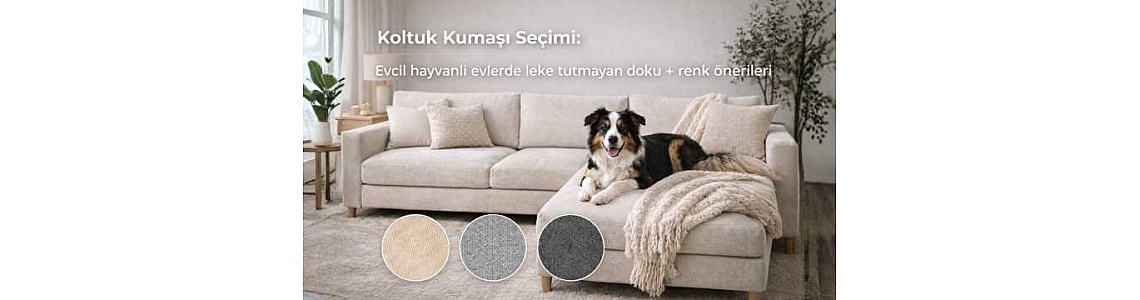 Koltuk Kumaşı Seçimi: Evcil hayvanlı evlerde leke tutmayan doku + renk önerileri